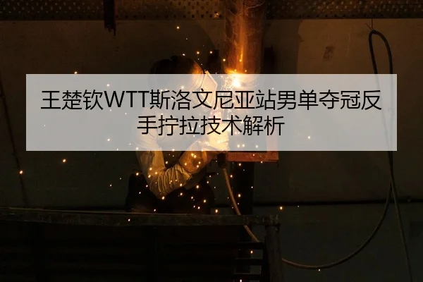 wang-chu-qin-si-luo-wen-ni-ya-zhan-nan-dan-duo-guan-fan-shou-ning-la-ji-shu-jie-xi-2-228.jpg