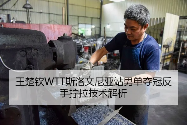 王楚钦WTT斯洛文尼亚站男单夺冠反手拧拉技术解析